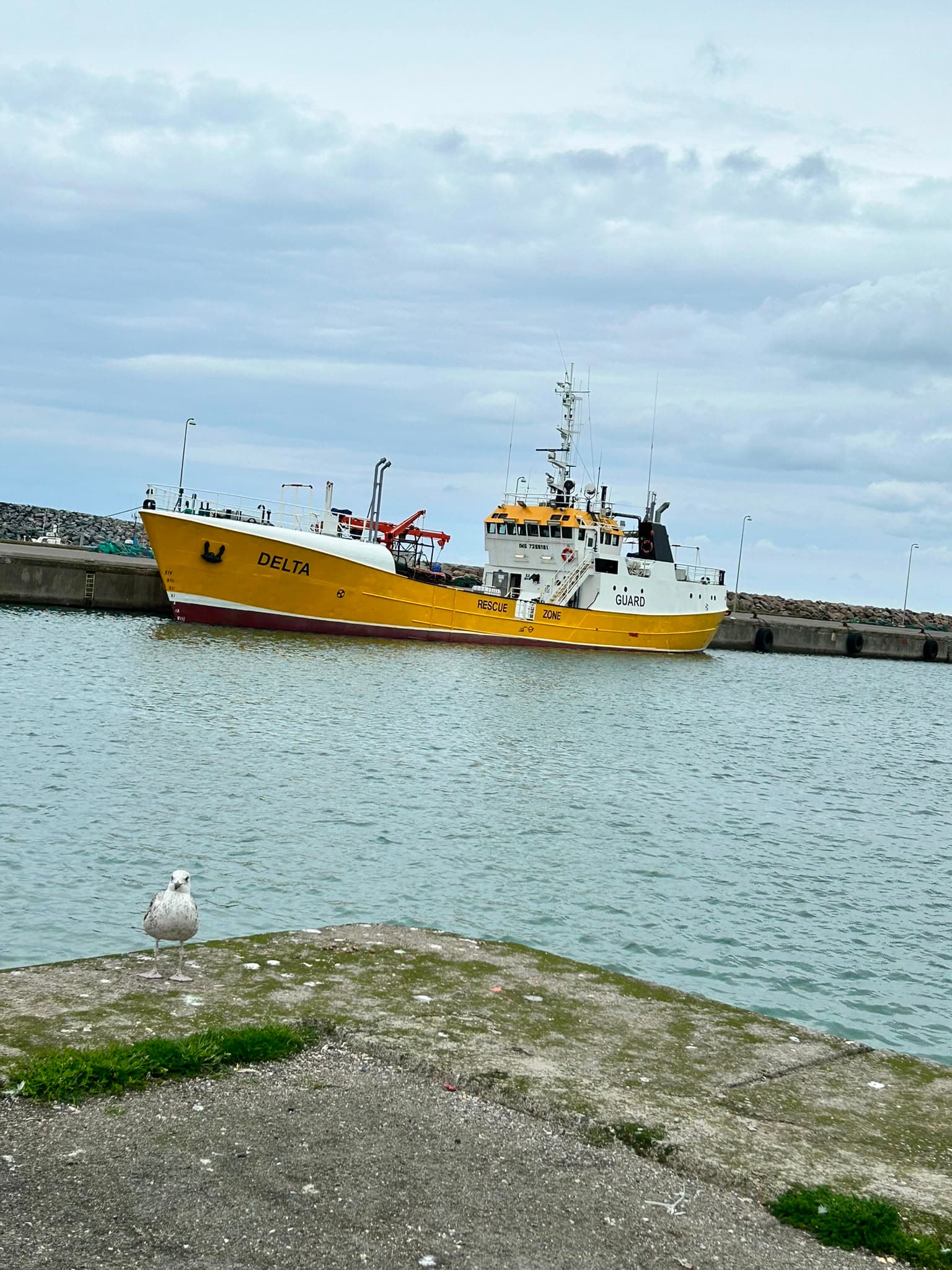 Guard vessel Delta in Grindavík harbour